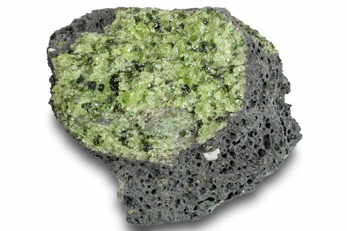 Peridot in Basalt - Arizona #253775